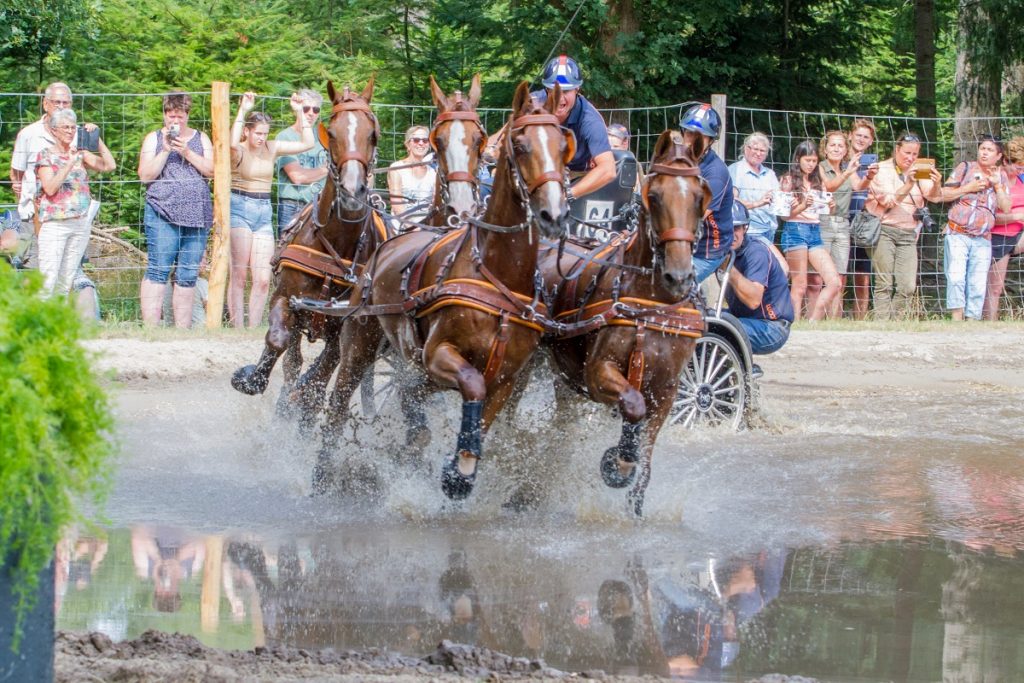 CAI Beekbergen krijgt O-status en stelt zich kandidaat voor het WK tweespannen
