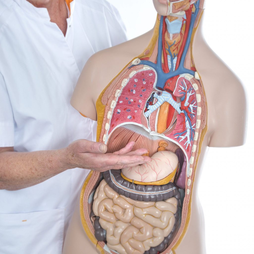 Vertel me Gelre informatieavond over behandeling van maag-slokdarmkanker