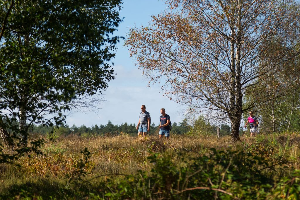 Herstart 5e Midden Veluwe wandeltocht
