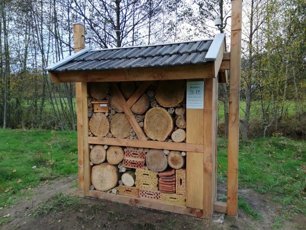 Insecten, van harte welkom in Wenum Wiesel !