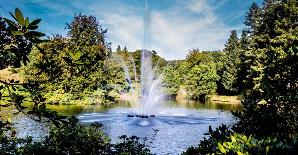 Royale boomkunst verbindt cultuur en natuur in Stadspark Berg & Bos