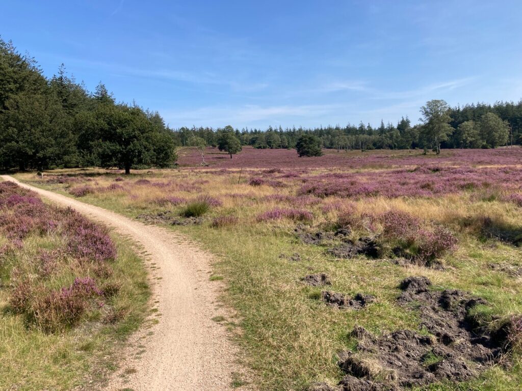 Blote voeten wandeling op de Loenermark