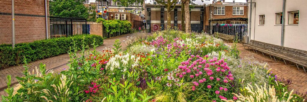 Apeldoorn zet in op groen en natuurvriendelijk bouwen