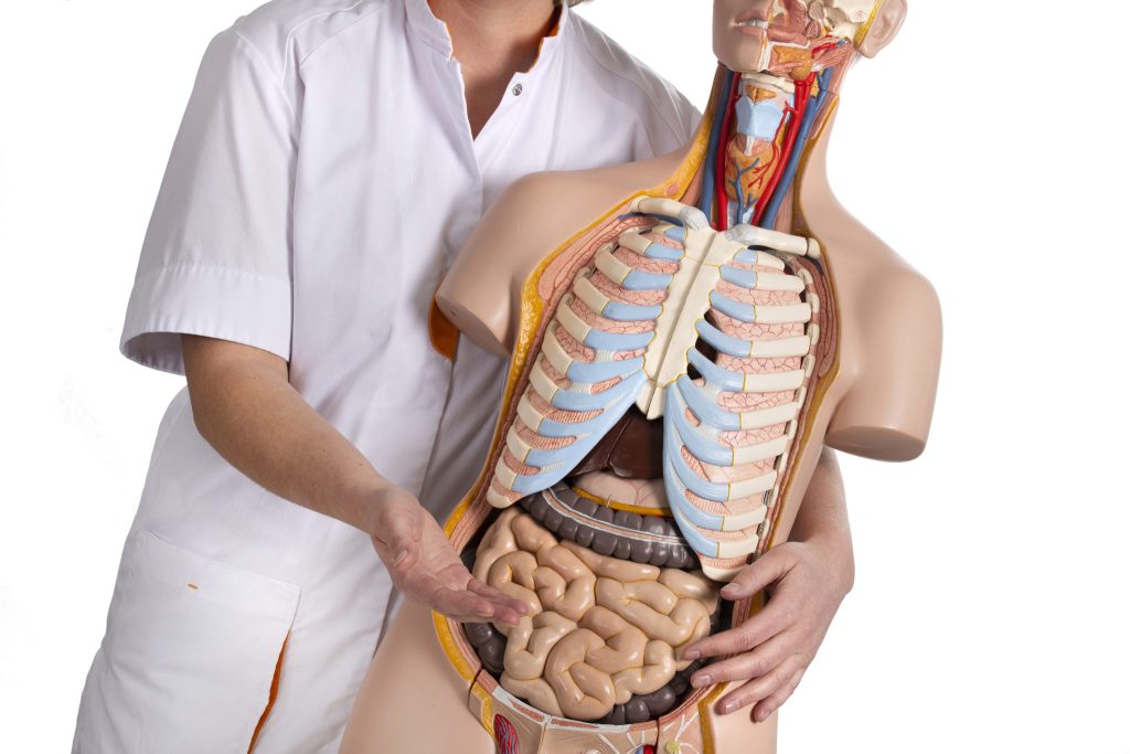 Informatieavond over de behandeling van darmkanker