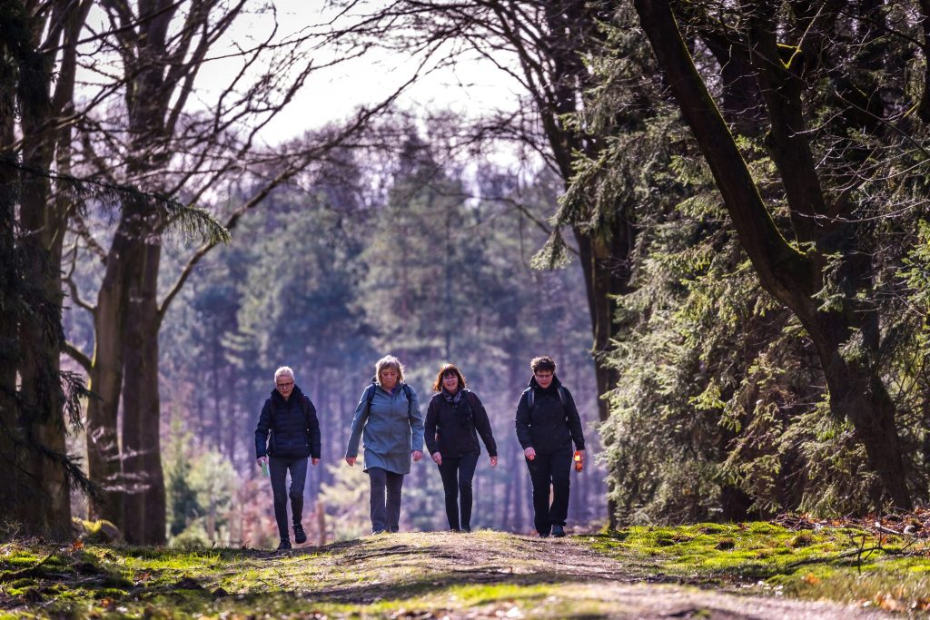 Verrassend wandelen in bos-, heide- en landbouwgebied