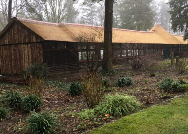 Nieuwe tentoonstelling in Theehuis Berg en Bos