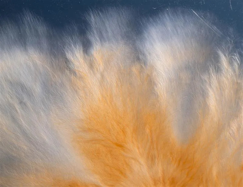 Nieuwe tentoonstelling in CODA Museum: De paddenstoel aan het einde van de wereld