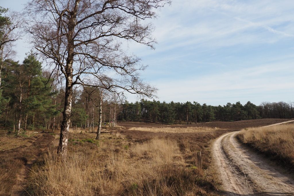 Lange herfstwandeling, Loenermark