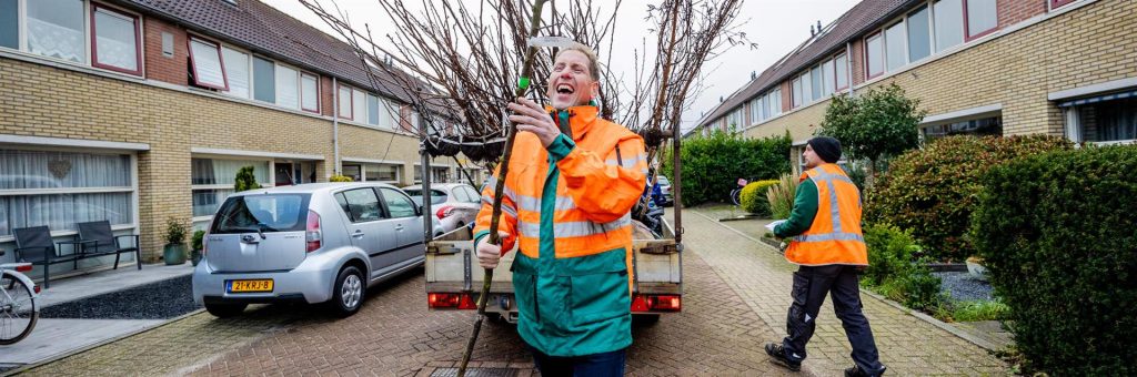 Gemeente Apeldoorn deelt gratis bomen uit met actie ‘Boompje Erbij’
