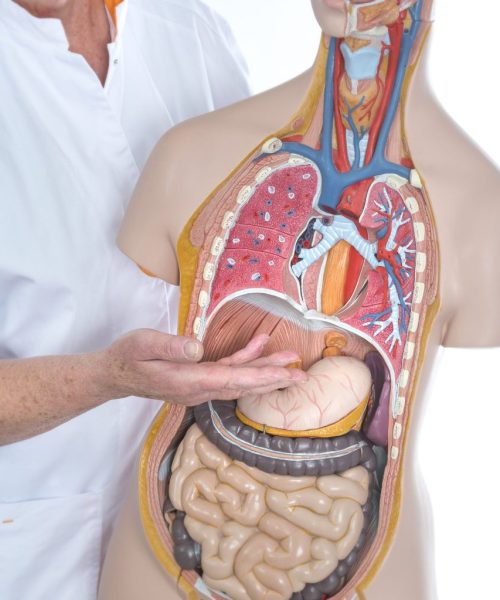 Informatieavond over behandeling van maag- en slokdarmkanker